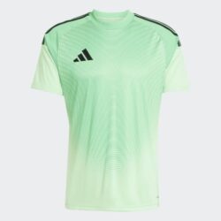 T25 C GK JSY M GLOMIN
