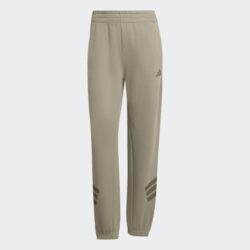 W FI 3S REG PT SILPEB